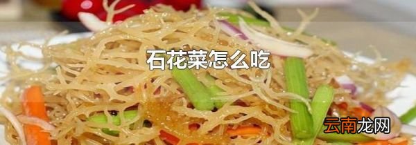 石花菜怎么吃