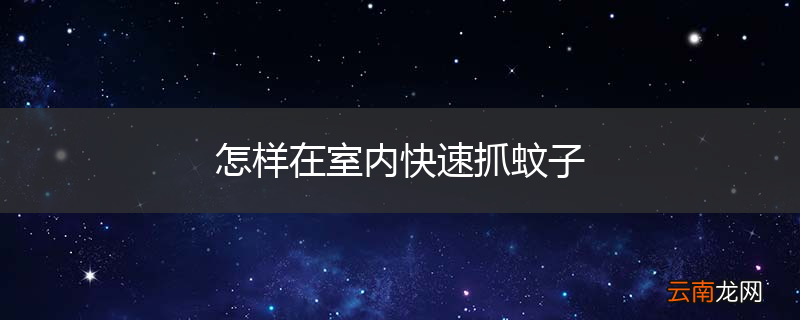 怎样在室内快速抓蚊子