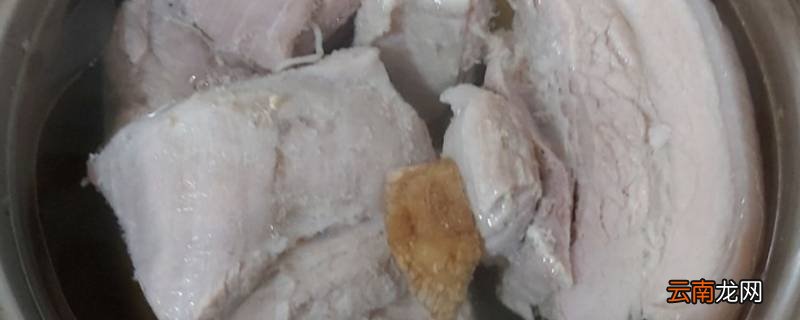 煮冻肉需要煮多久