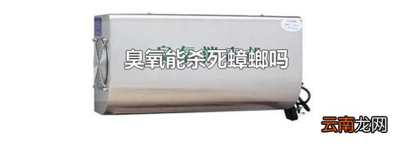 臭氧能杀死蟑螂吗