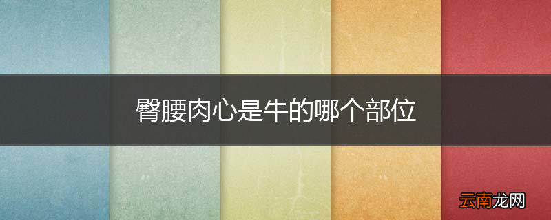 臀腰肉心是牛的哪个部位