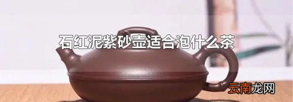 石红泥紫砂壶适合泡什么茶