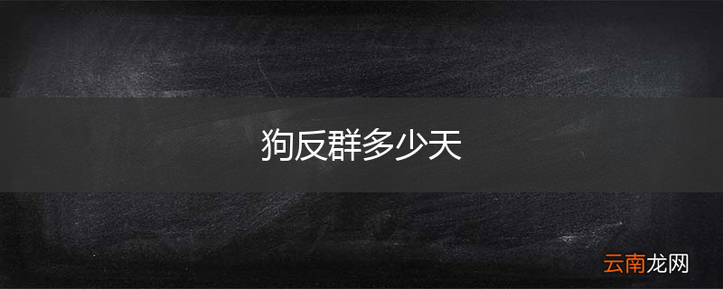 狗反群多少天