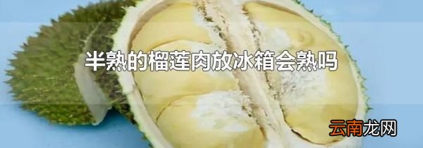 半熟的榴莲肉放冰箱会熟吗