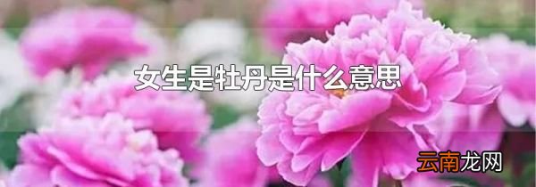 女生是牡丹是什么意思