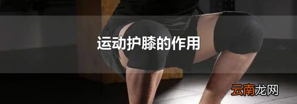 运动护膝的作用