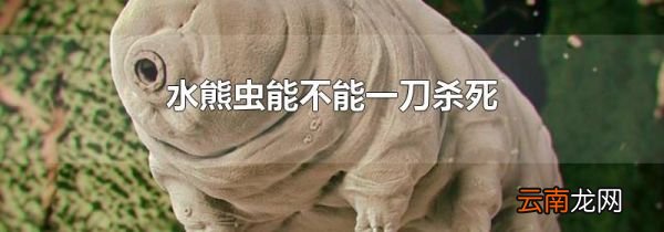 水熊虫能不能一刀杀死