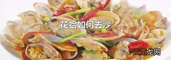 花蛤如何去沙