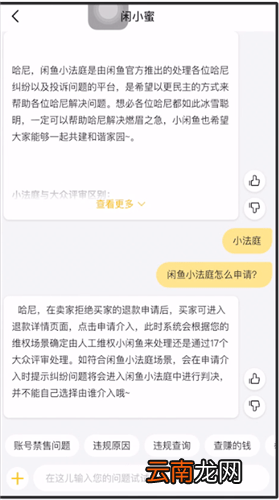 闲鱼中上小法庭详细操作流程