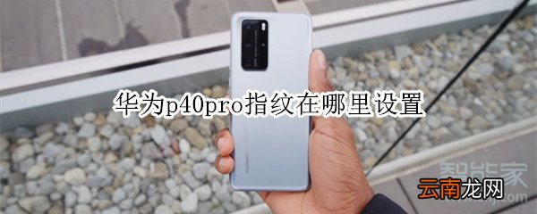 华为p40pro指纹在哪里设置