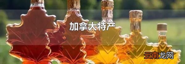 加拿大特产