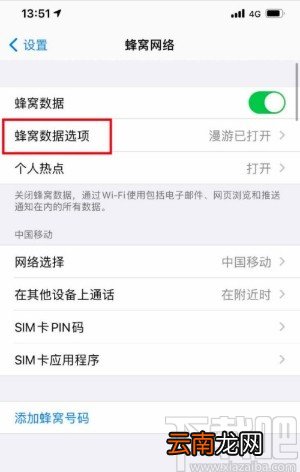 苹果手机设置3G网络的方法步骤