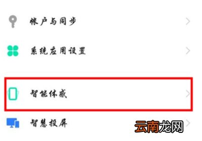 iqoo3怎么设置捂住屏幕静音