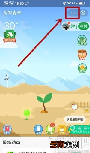 支付宝APP关闭蚂蚁森林的方法步骤