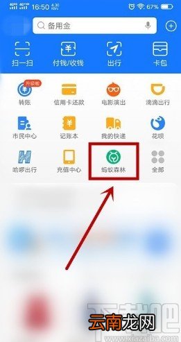 支付宝APP关闭蚂蚁森林的方法步骤