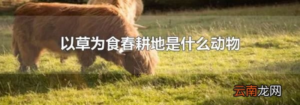 以草为食春耕地是什么动物