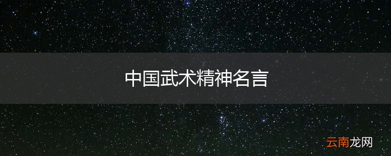 中国武术精神名言