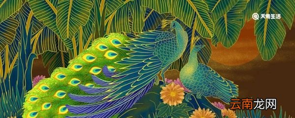 孔雀和鹤的故事告诉我们什么道理 孔雀和鹤的故事告诉我们什么