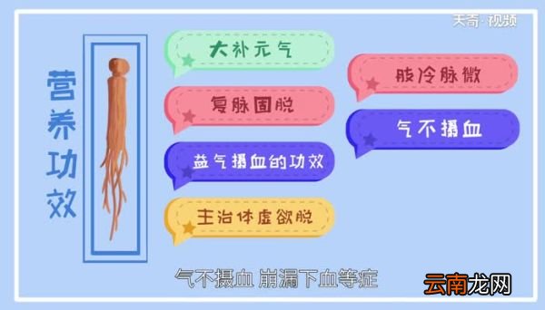 红参的功效与作用 红参的功效与作用是什么