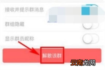 鱼泡泡解散群组教程