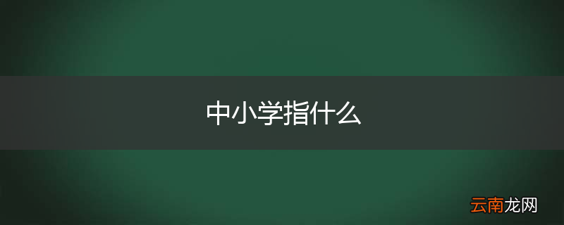 中小学指什么