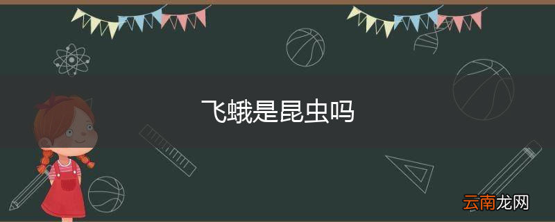 飞蛾是昆虫吗
