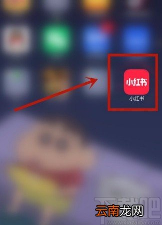 小红书APP查找搜索历史的方法