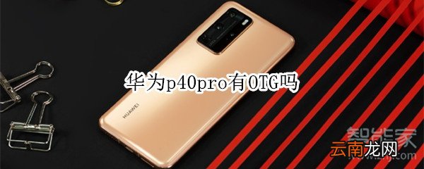 华为p40pro有OTG吗