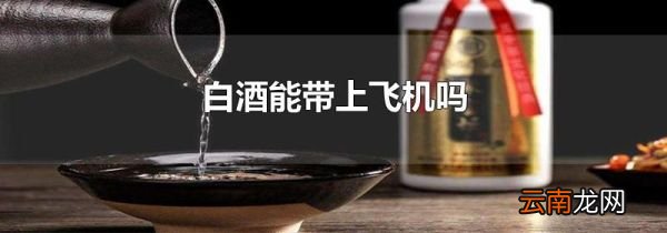 白酒能带上飞机吗
