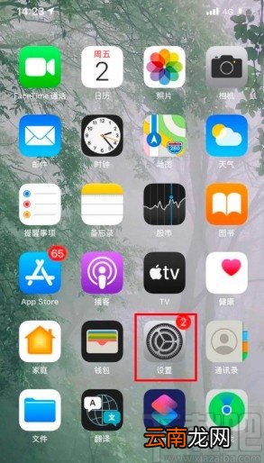 苹果手机开启暴露通知功能的方法步骤