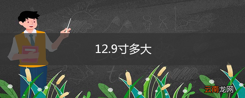 12.9寸多大
