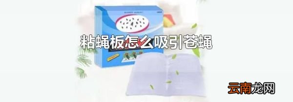 粘蝇板怎么吸引苍蝇