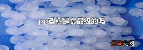 pp塑料是食品级的吗