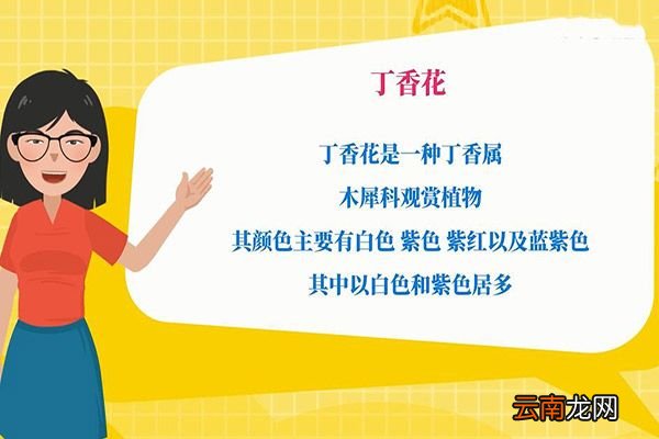 丁香花是什么颜色的 丁香花颜色有几种