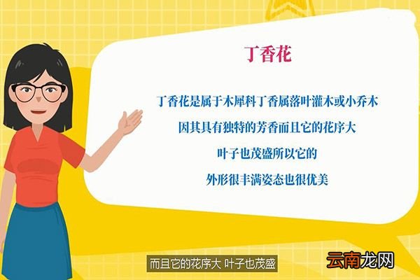 丁香花是什么颜色的 丁香花颜色有几种