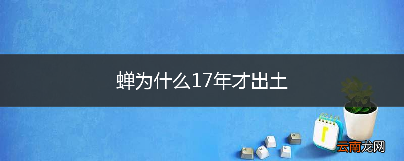 蝉为什么17年才出土
