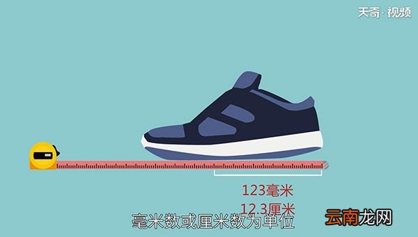 245是多少码