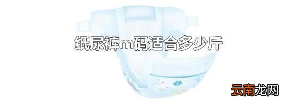 纸尿裤m码适合多少斤