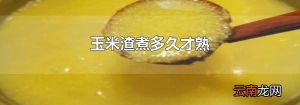 玉米渣煮多久才熟
