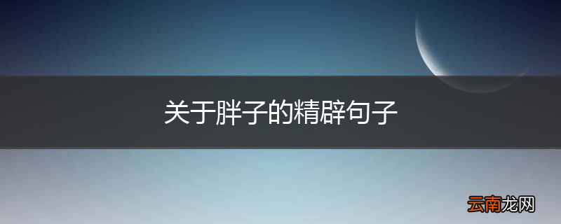 关于胖子的精辟句子