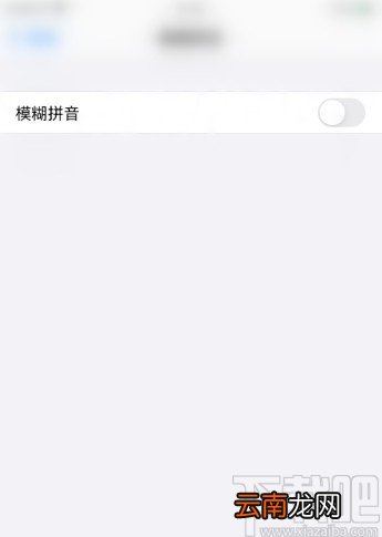 iPhone 11打开模糊拼音功能的方法步骤