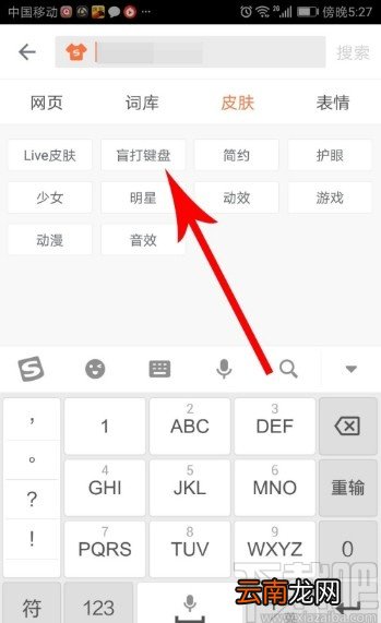 搜狗输入法APP设置盲打皮肤的方法