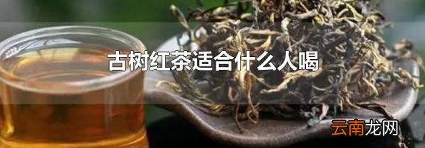 古树红茶适合什么人喝