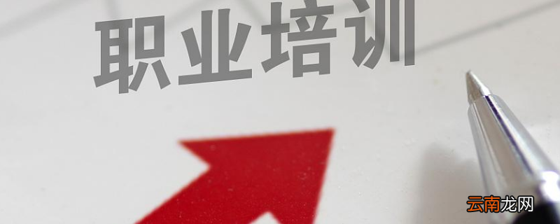 针对工作不足的地方需要公司提供何种支持或培训