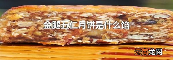 金腿五仁月饼是什么馅