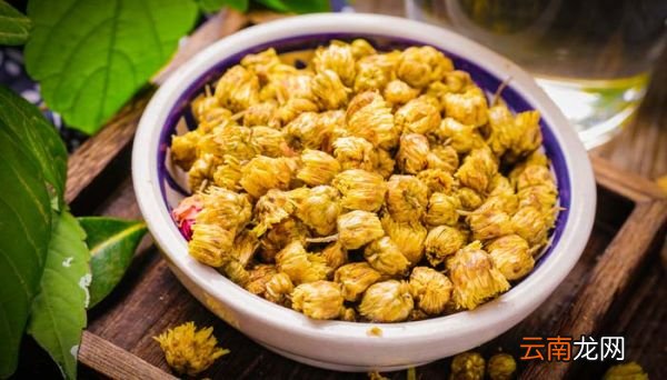 菊花茶属于绿茶吗 菊花茶是绿茶吗