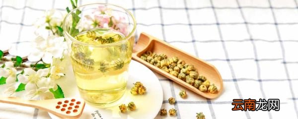 菊花茶属于绿茶吗 菊花茶是绿茶吗