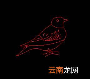借助cad临摹小鸟图片的操作步骤
