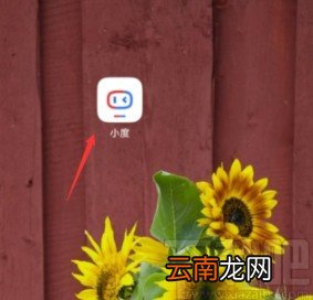 小度APP设置蓝牙耳机语音唤醒的方法