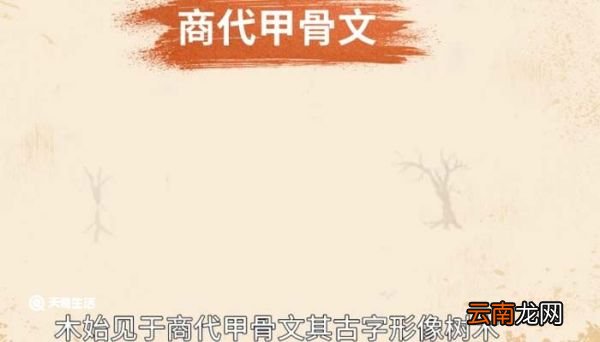 属木的字有哪些 属木的字
